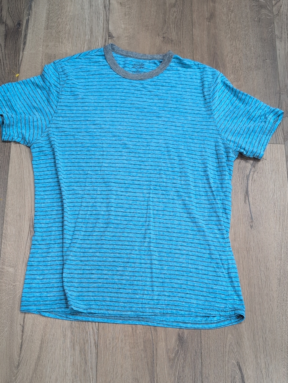 Daniel Cremieux Teal Blue Striped Crewneck Tee with Gray Trim